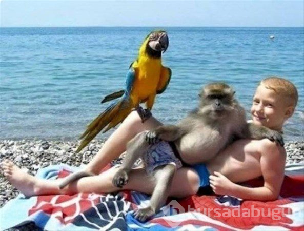 Rezil eden tatil fotoğrafları
