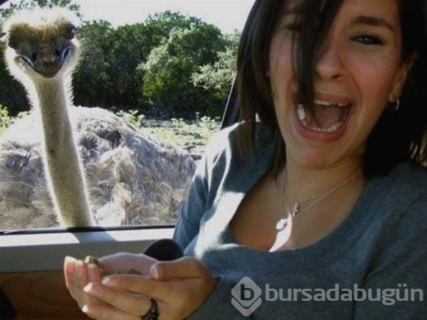 Rezil eden tatil fotoğrafları
