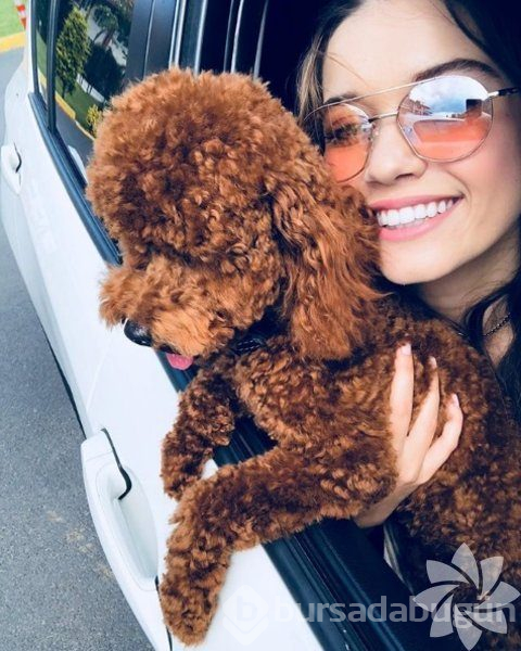 Afra Saraçoğlu'nun Instagram paylaşımları
