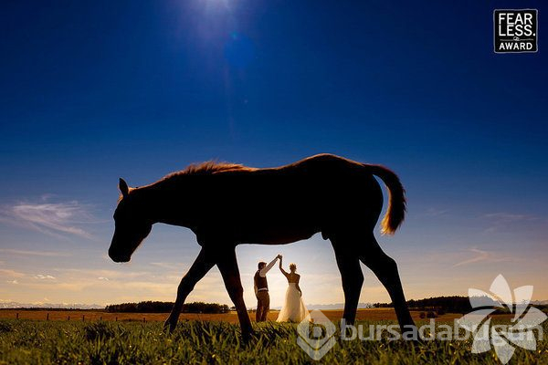 Olağandışı düğün fotoğrafları

