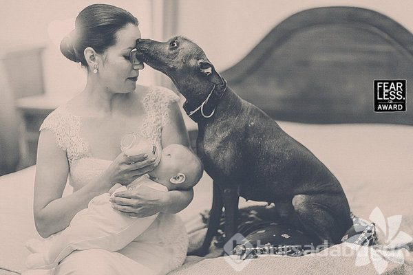 Olağandışı düğün fotoğrafları
