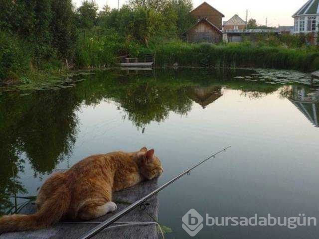 Günün en çok paylaşılan fotoğrafları (31.10.2018)
