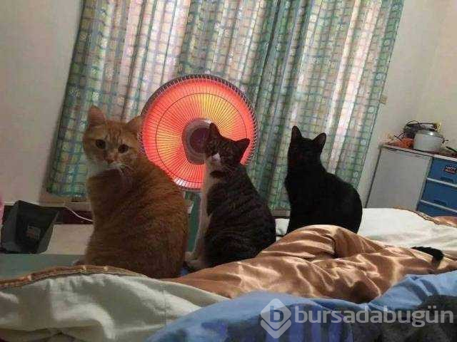 Günün en çok paylaşılan fotoğrafları (31.10.2018)

