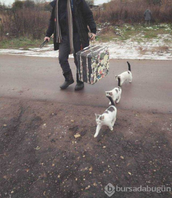 Günün en çok paylaşılan fotoğrafları (31.10.2018)
