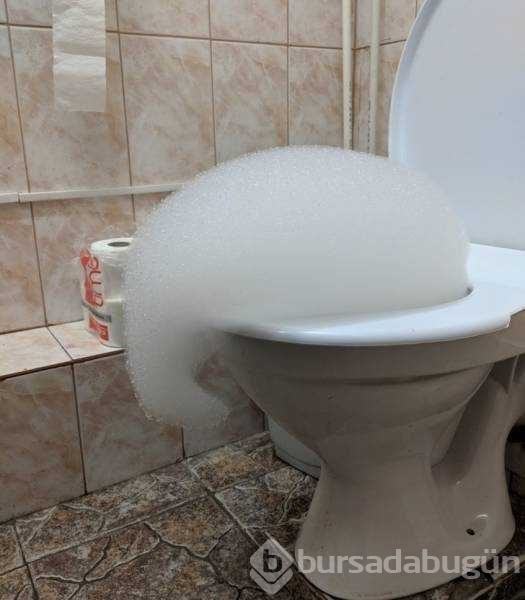 Günün en çok paylaşılan fotoğrafları (31.10.2018)
