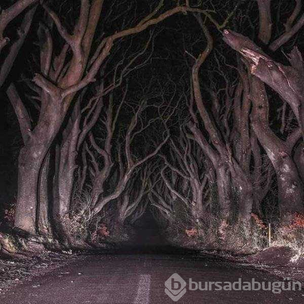 Günün en çok paylaşılan fotoğrafları (31.10.2018)
