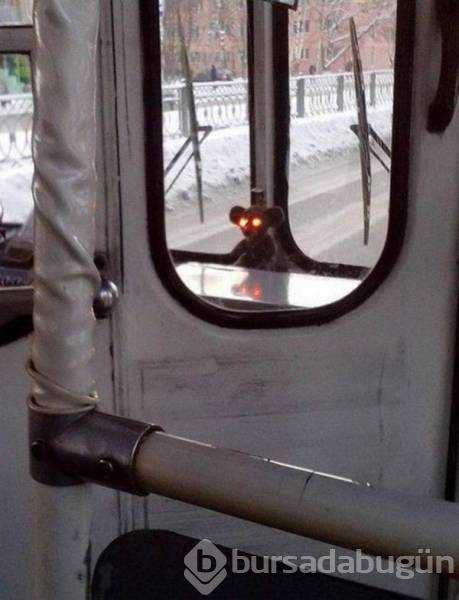 Günün en çok paylaşılan fotoğrafları (31.10.2018)

