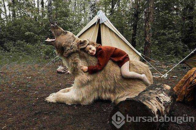 Günün en çok paylaşılan fotoğrafları (31.10.2018)

