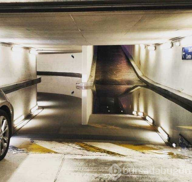 Günün en çok paylaşılan fotoğrafları (31.10.2018)
