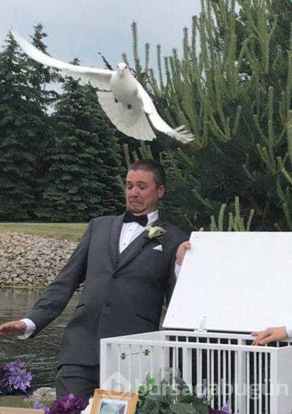 Tam zamanında çekilen fotoğraflar

