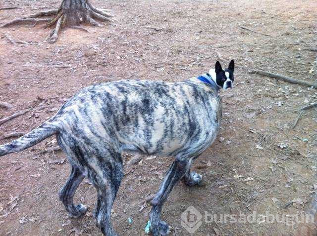 Tam zamanında çekilen fotoğraflar
