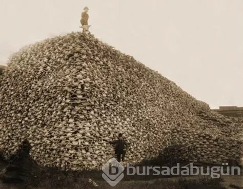 Dünyadan ilginç fotoğraflar

