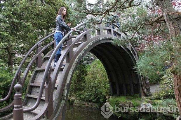 Dünyadan ilginç fotoğraflar

