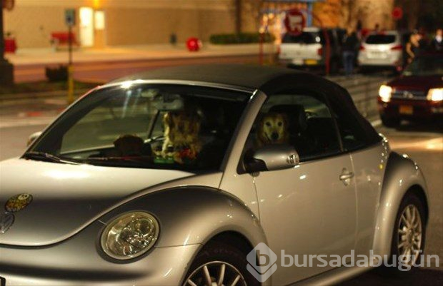 Dünyadan ilginç fotoğraflar

