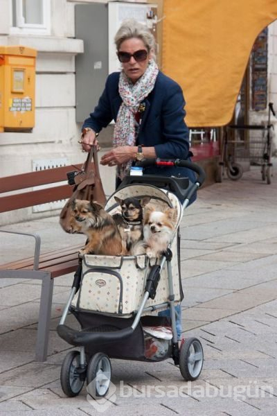 Dünyadan ilginç fotoğraflar

