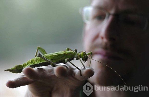 Dünyadan ilginç fotoğraflar

