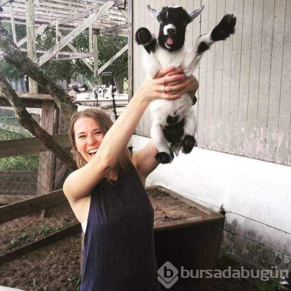 Dünyanın en komik hayvanları
