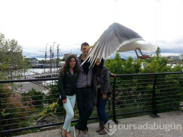 Günün en çok paylaşılan fotoğrafları (01.11.2018)