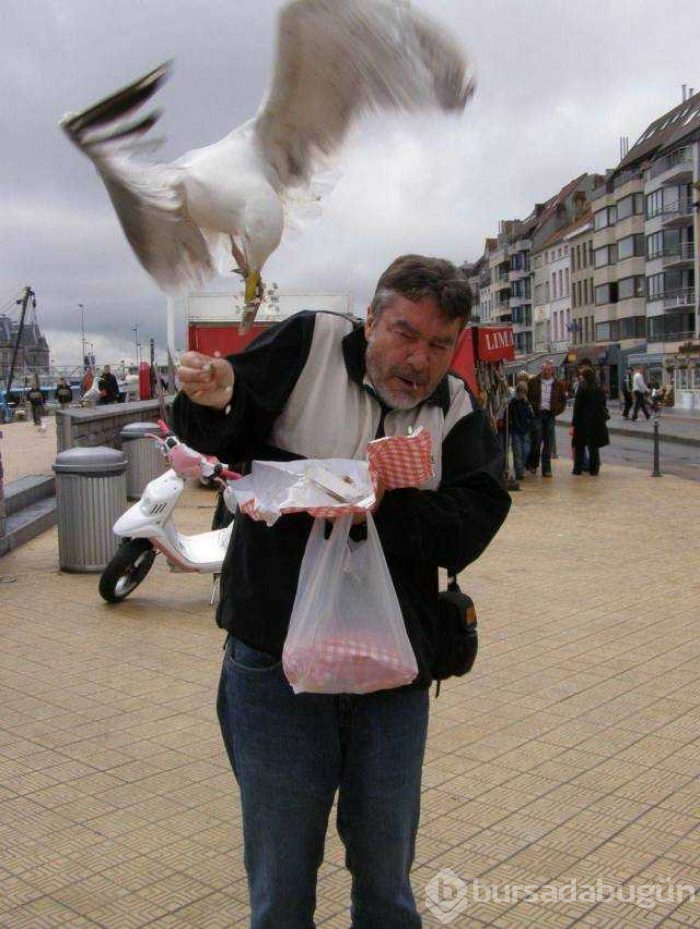 Günün en çok paylaşılan fotoğrafları (01.11.2018)