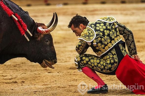 2018 yılının en iyi fotoğrafları seçildi