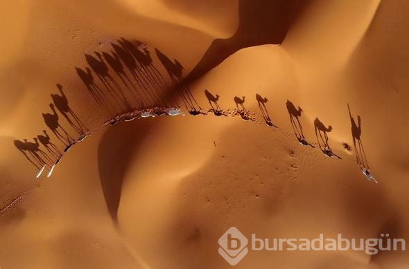 2018 yılının en iyi fotoğrafları seçildi