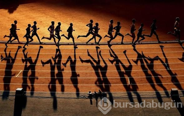 2018 yılının en iyi fotoğrafları seçildi