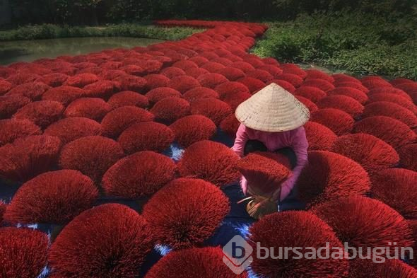 2018 yılının en iyi fotoğrafları seçildi