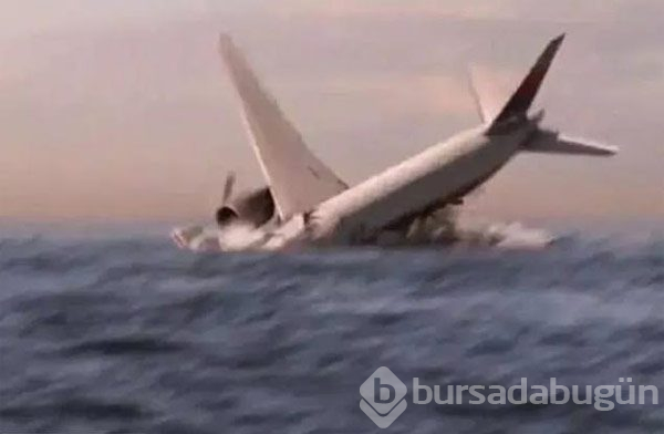 Ormanda göründü! Heyecan yarattı...