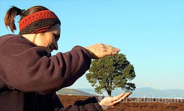 Yalan söyleyen fotoğraflar
