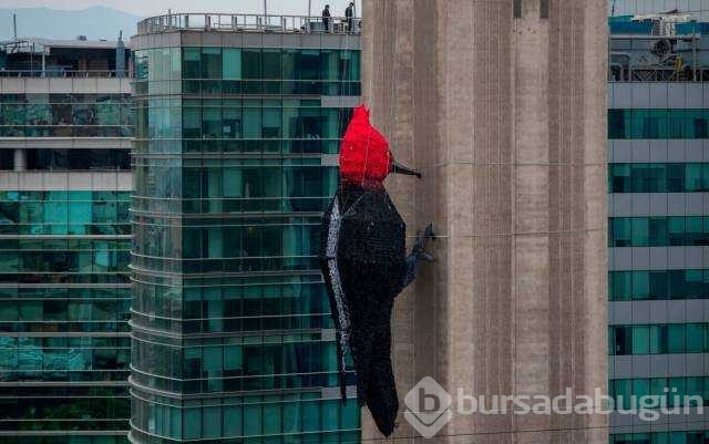 Günün en çok paylaşılan fotoğrafları (02.11.2018)