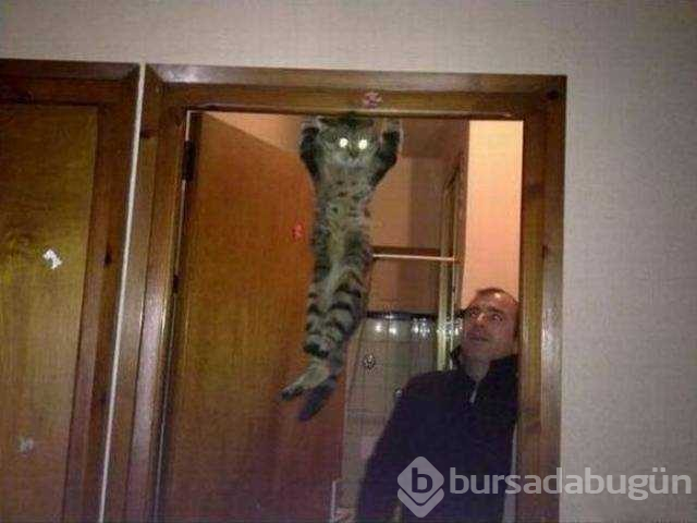 Günün en çok paylaşılan fotoğrafları (02.11.2018)
