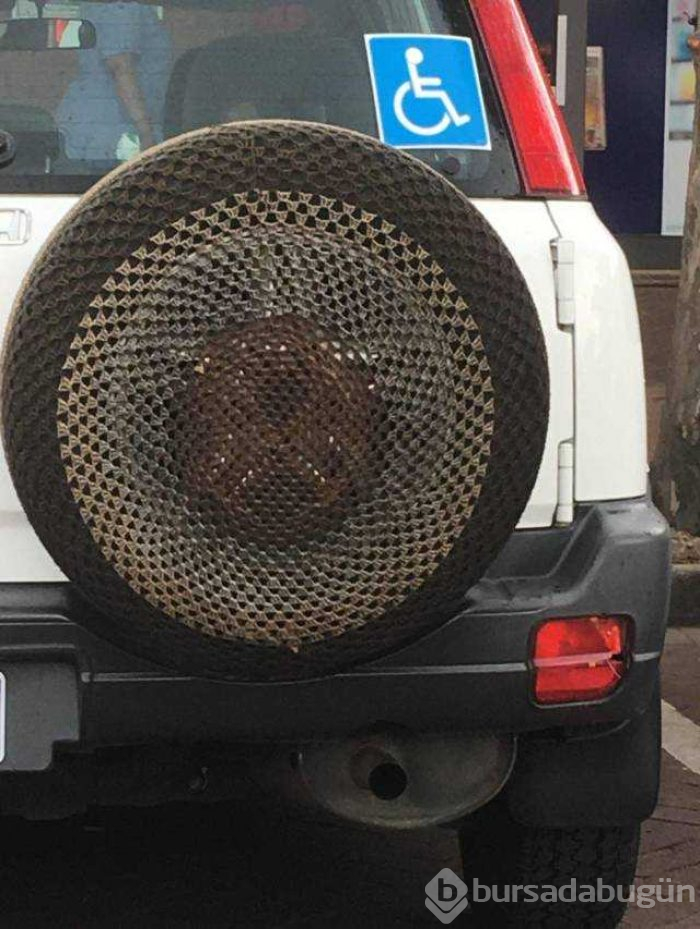 Günün en çok paylaşılan fotoğrafları (02.11.2018)
