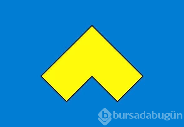 Dahilerin 30 saniyede çözdüğü sorular
