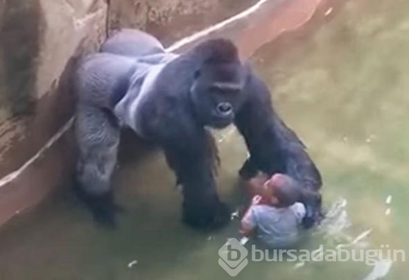 Trajediden hemen önce çekilen fotoğraflar
