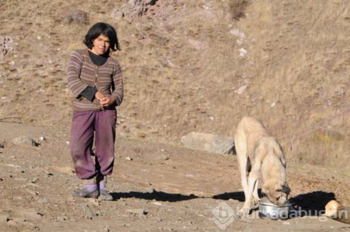 Türkiye'de mağara dönemini yaşıyorlar! İşte duyanları şaşkına çeviren aile
