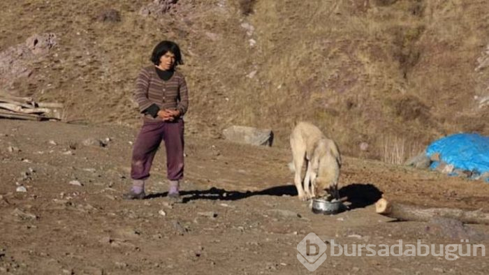 Türkiye'de mağara dönemini yaşıyorlar! İşte duyanları şaşkına çeviren aile
