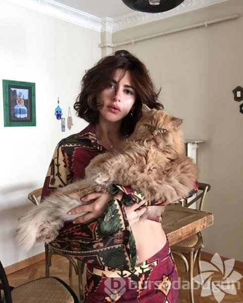 Nesrin Cavadzade'nin Instagram paylaşımları
