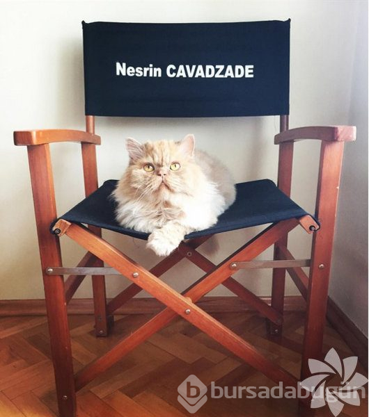 Nesrin Cavadzade'nin Instagram paylaşımları
