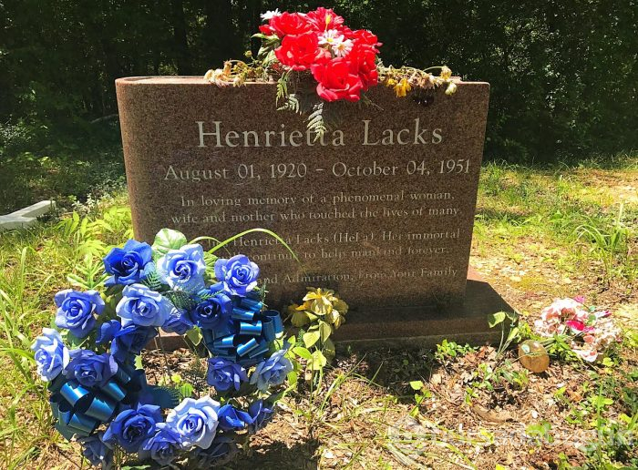Henrietta Lacks'in hücreleri ölümsüzlüğün şifresi olabilir
