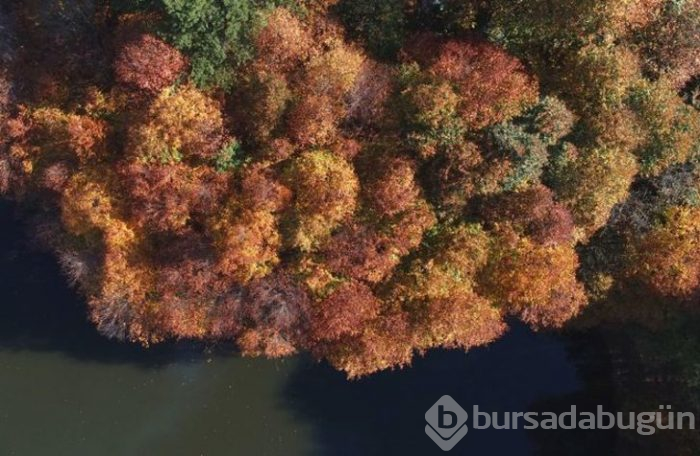 Sonbaharda benzersiz güzellik! Doğaseverler buraya akın ediyor
