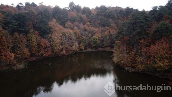 Sonbaharda benzersiz güzellik! Doğaseverler buraya akın ediyor
