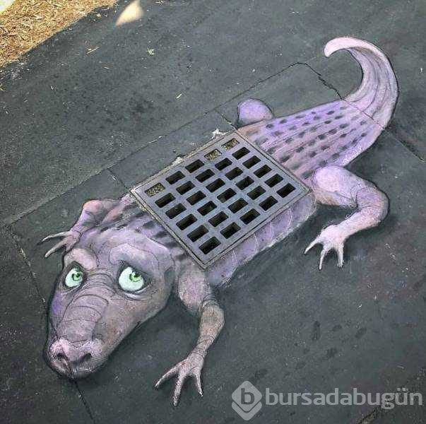 Günün en çok paylaşılan fotoğrafları (07.11.2018)