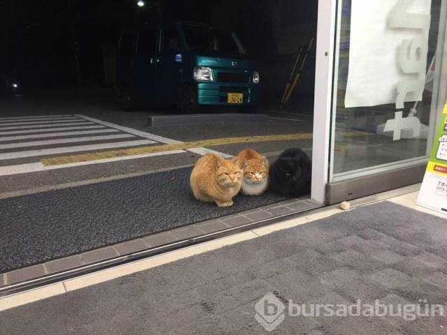 Günün en çok paylaşılan fotoğrafları (07.11.2018)
