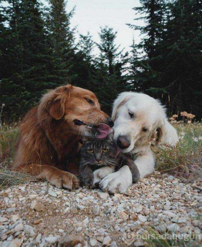 Günün en çok paylaşılan fotoğrafları (07.11.2018)