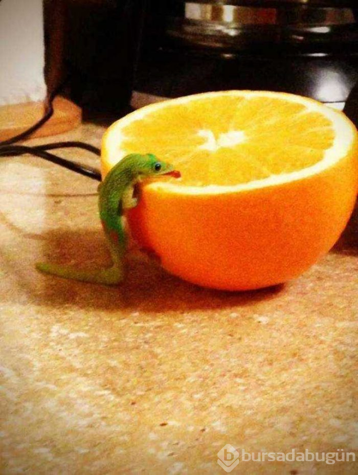 Günün en çok paylaşılan fotoğrafları (07.11.2018)