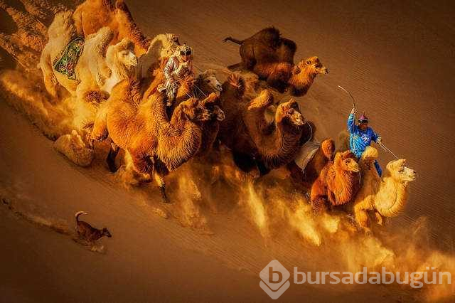 Günün en çok paylaşılan fotoğrafları (07.11.2018)