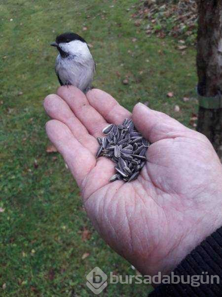 Günün en çok paylaşılan fotoğrafları (07.11.2018)