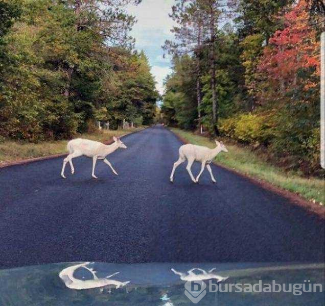 Günün en çok paylaşılan fotoğrafları (07.11.2018)