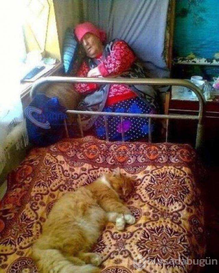 Günün en çok paylaşılan fotoğrafları (07.11.2018)