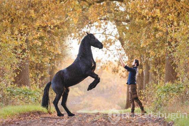 Günün en çok paylaşılan fotoğrafları (07.11.2018)